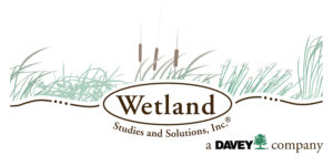 Wetland Studies and Solutions Inc.